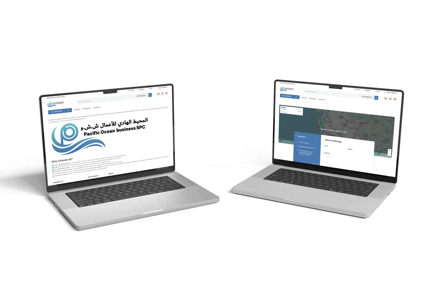 Portfolio Detail Large