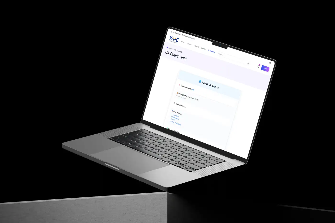 Portfolio Detail Large